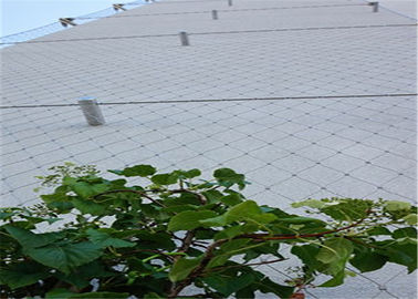Rust Protection Stainless Steel Cable Trellis , Stainless Steel Wire Mesh Netting