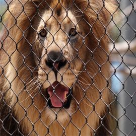 Lưới thép không gỉ chống cắn 304 cho động vật Sư tử bảo vệ hàng rào lưới