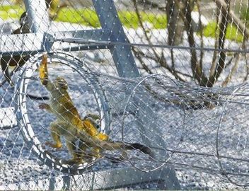 316 Ferrule Loại dây cáp dây thép không gỉ Zoo lưới cho Aviary Net lưới